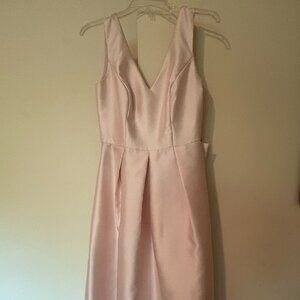 Alfred Sung Light Pink Dress